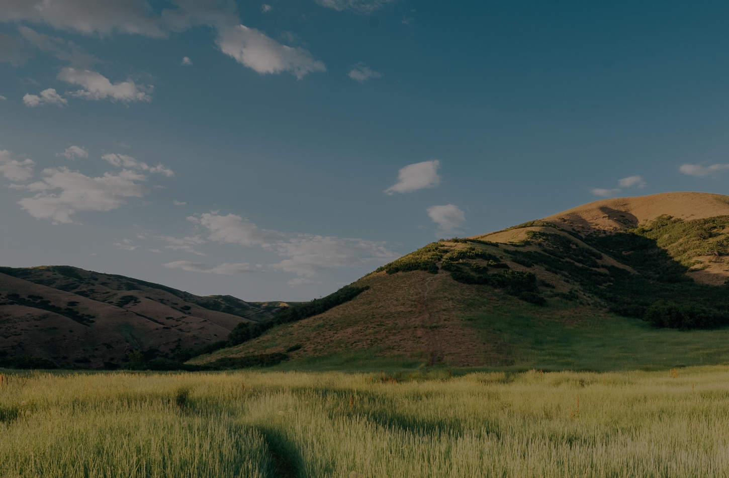 Mountains in Salt Lake City UT